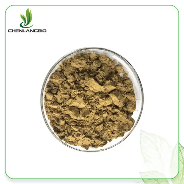 Echinacea Extract Powder Echinacea Extract Powder